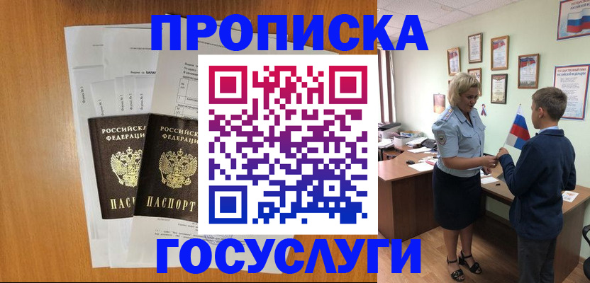 временная регистрация госуслуги в Щёлково